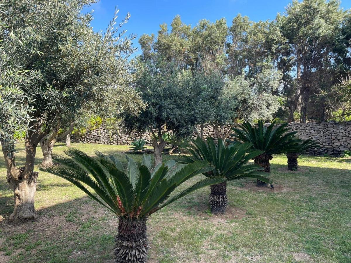 Calafato Guest House 파뷔냐나도 외부 사진