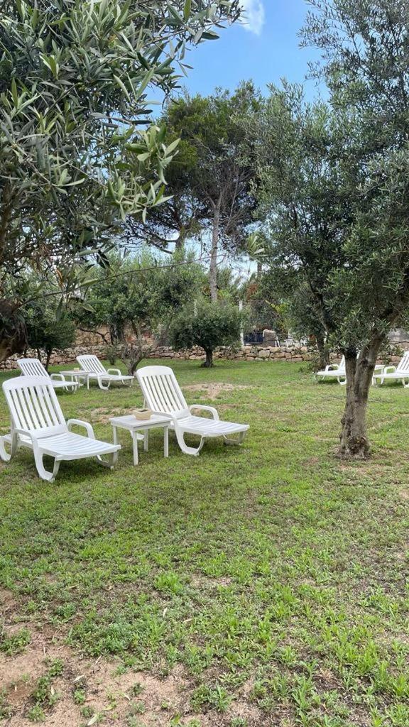 Calafato Guest House 파뷔냐나도 외부 사진